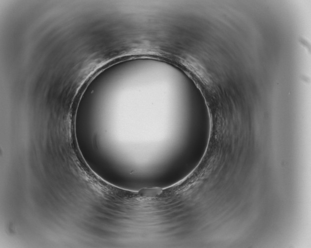 X0000097301268200802221326