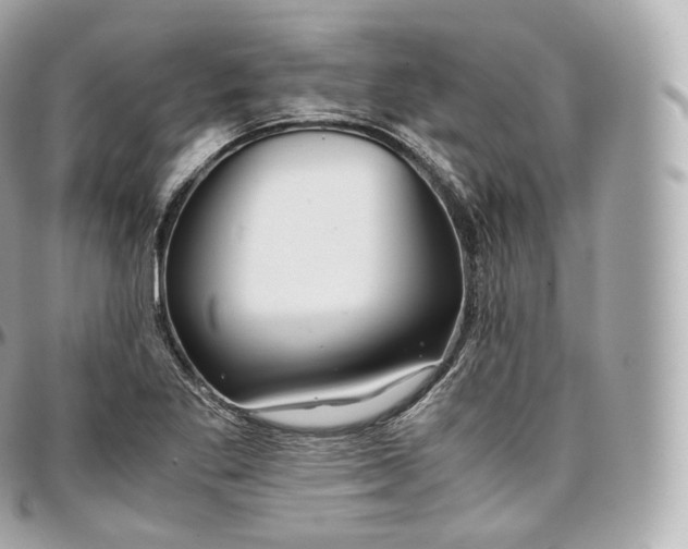 X0000097301269200802221326