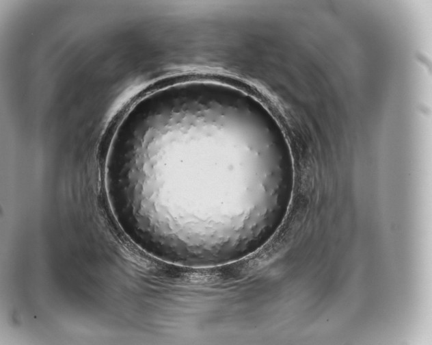 X0000097301271200802221326
