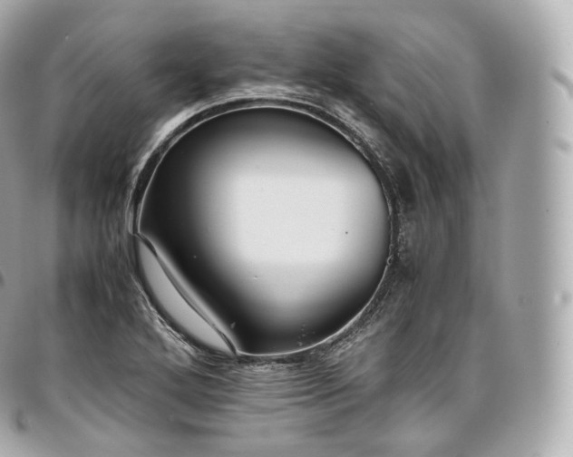 X0000097301272200802221326