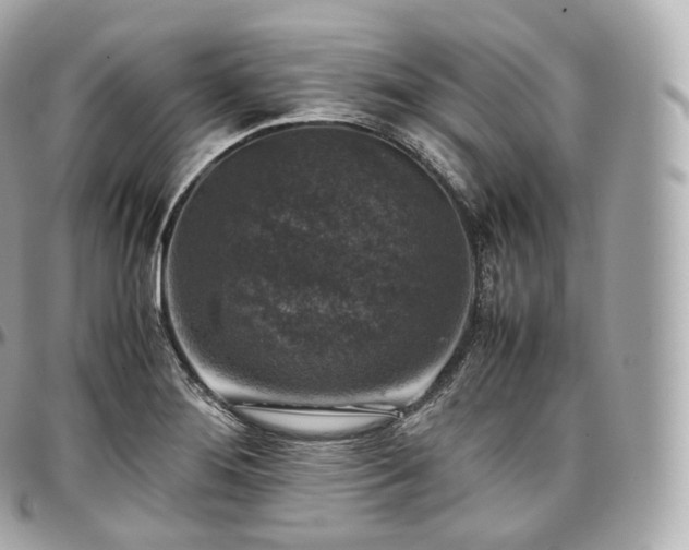 X0000097301276200802221326