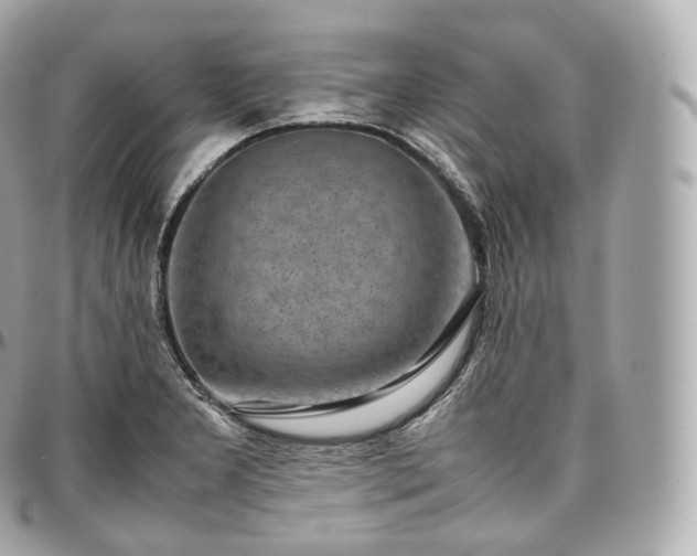 X0000097301277200802221326