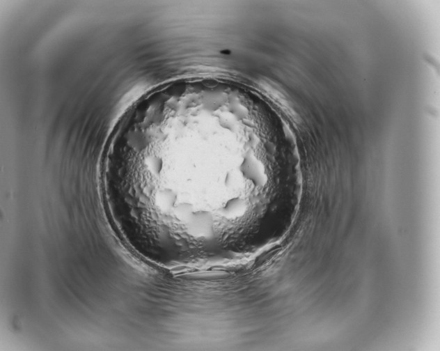 X0000097301283200802221326