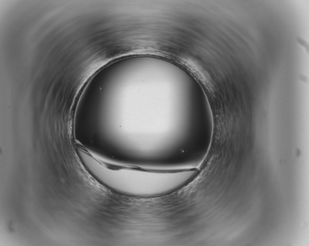 X0000097301284200802221326