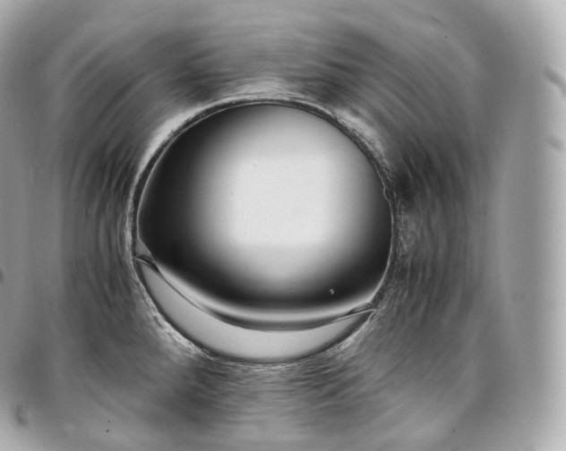 X0000097301288200802221326