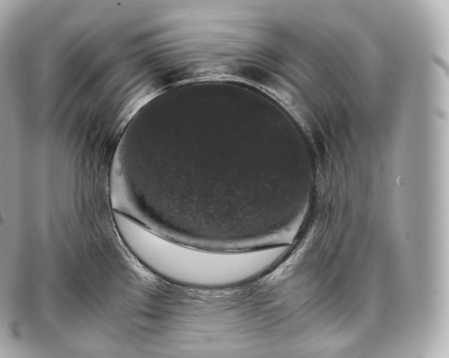 X0000097301289200802221326