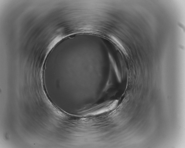 X0000097301291200802221326