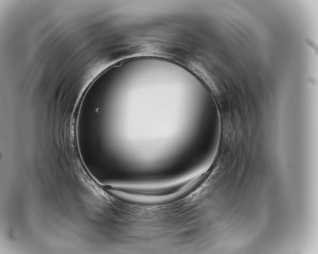 X0000097301292200802221326