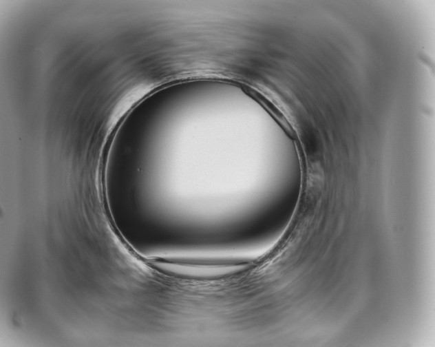 X0000097301293200802221326