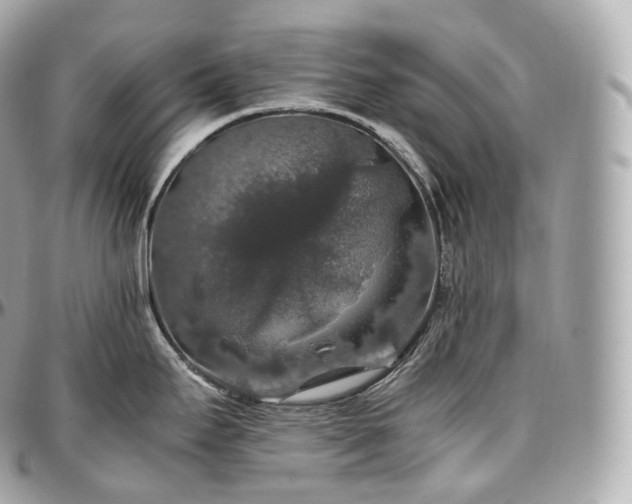 X0000097301295200802221326