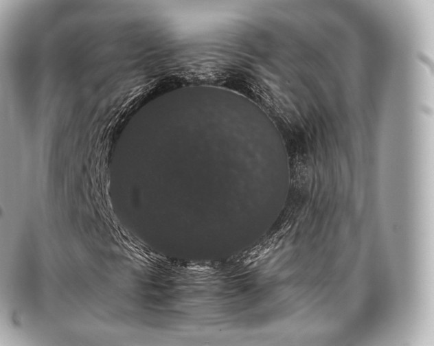 X0000097301297200802221325