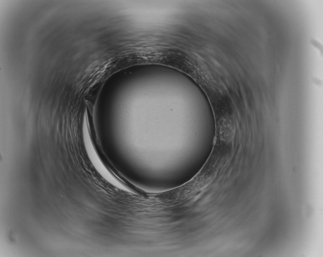 X0000097301298200802221325