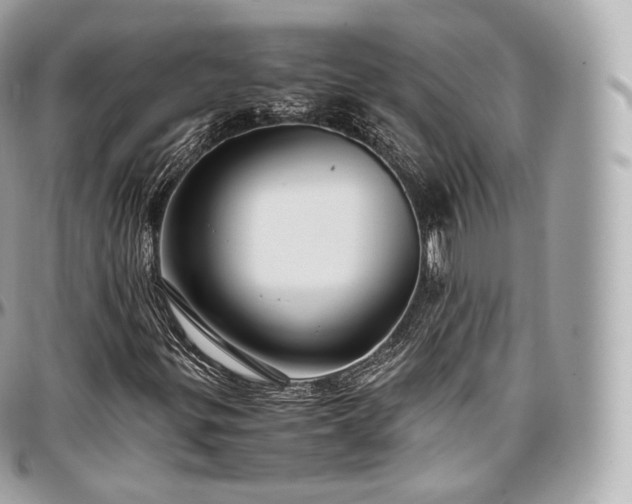 X0000097301299200802221325
