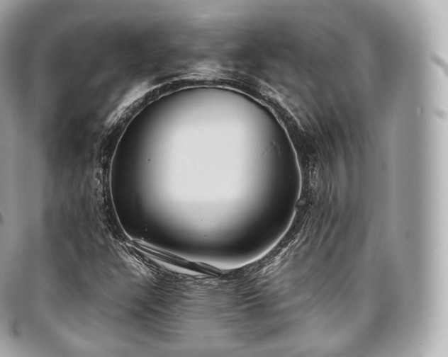 X0000097301304200802221325