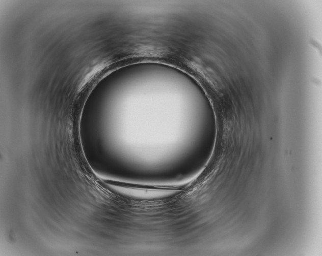 X0000097301307200802221325
