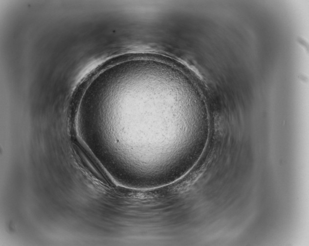 X0000097301311200802221325