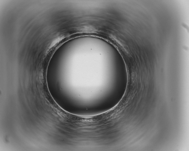 X0000097301315200802221326