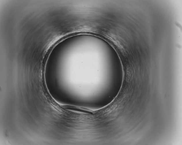 X0000097301316200802221326