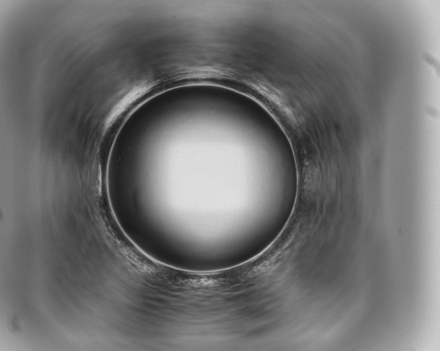 X0000097301317200802221326