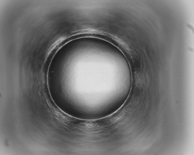 X0000097301318200802221326