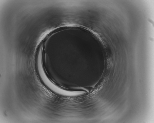X0000097301319200802221326
