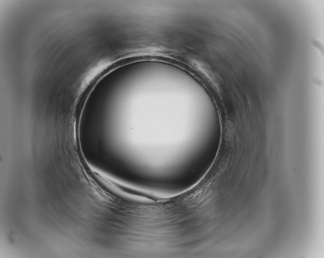 X0000097301320200802221326