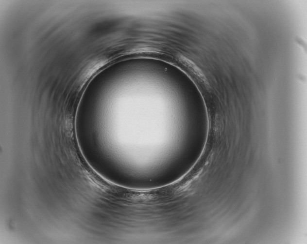 X0000097301321200802221326