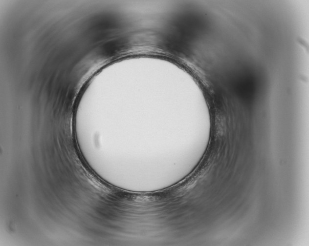 X0000097301322200802221326