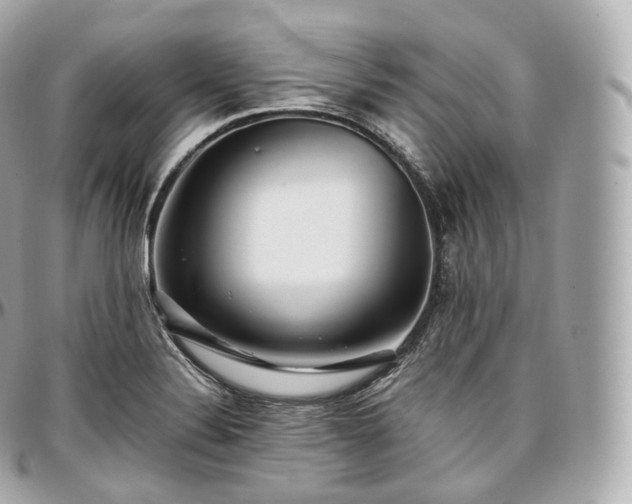 X0000097301324200802221326