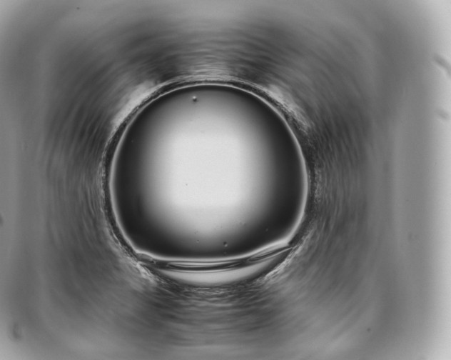 X0000097301325200802221326