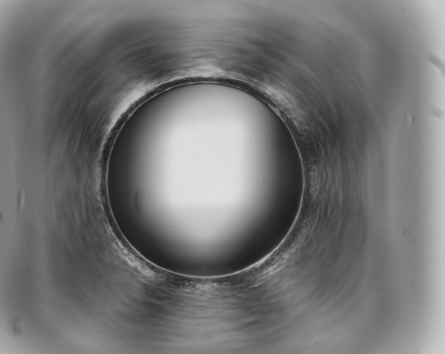X0000097301326200802221326