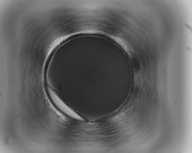 X0000097301327200802221326