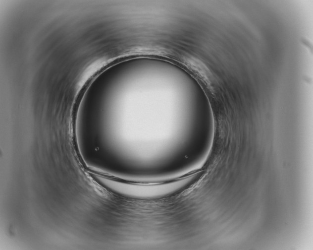 X0000097301328200802221326