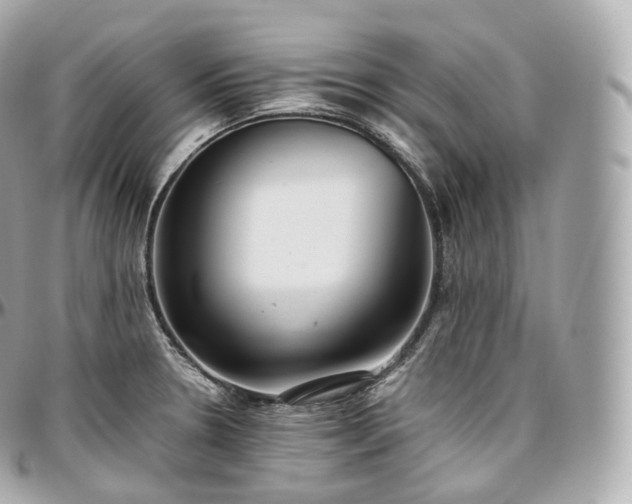 X0000097301330200802221326
