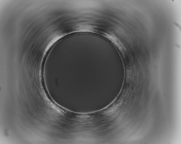 X0000097301331200802221326