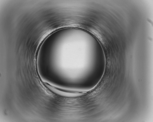 X0000097301332200802221326