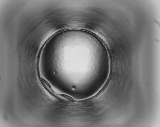 X0000097301333200802221326