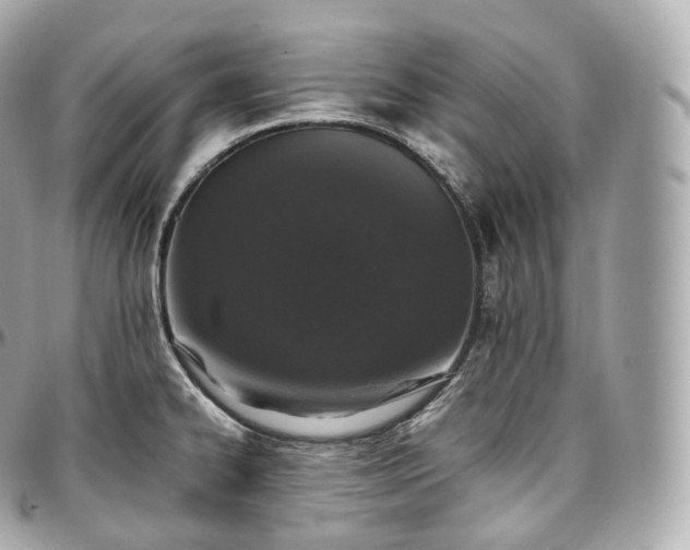 X0000097301334200802221326