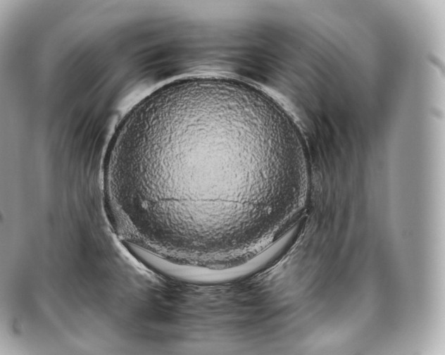 X0000097301335200802221326