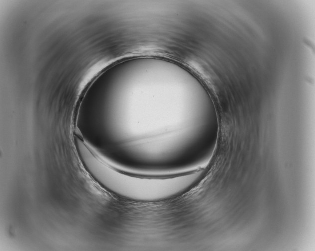 X0000097301336200802221326