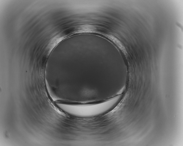 X0000097301337200802221326