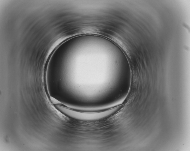 X0000097301339200802221326