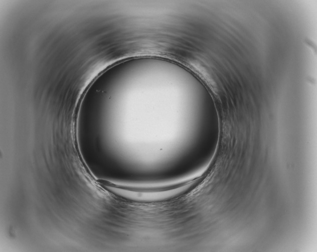 X0000097301340200802221326