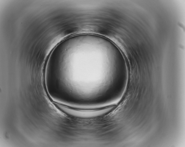 X0000097301341200802221326