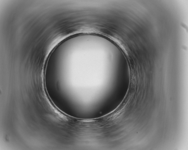X0000097301343200802221326