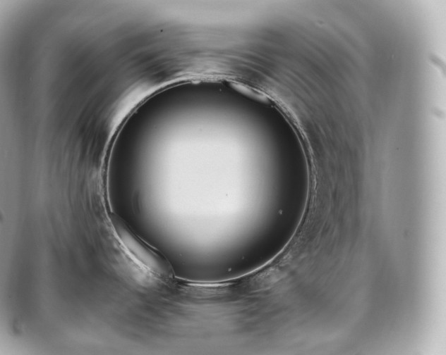 X0000097301344200802221326