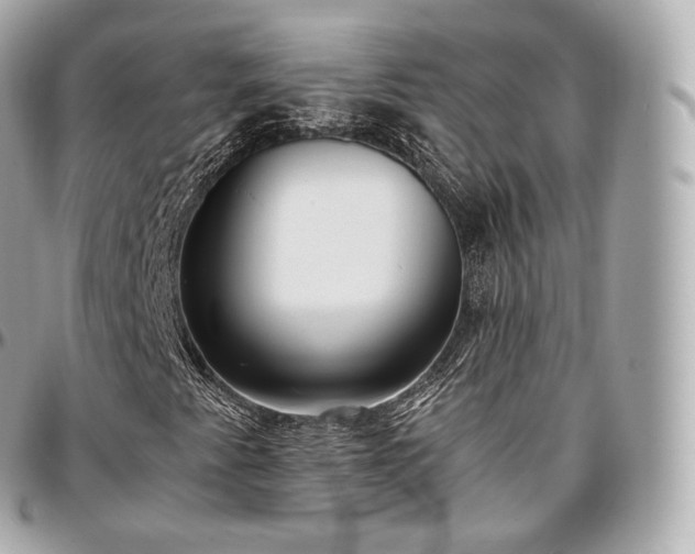 X0000097301345200802221325