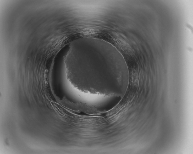 X0000097301346200802221325
