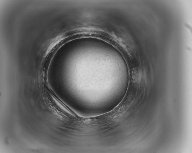 X0000097301352200802221325