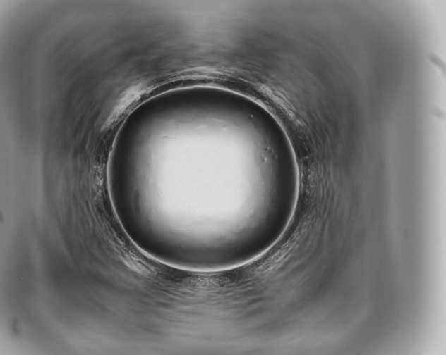 X0000097301355200802221325